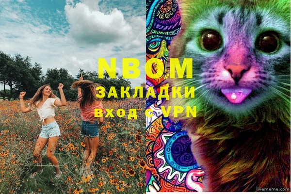 прущая мука Новодвинск