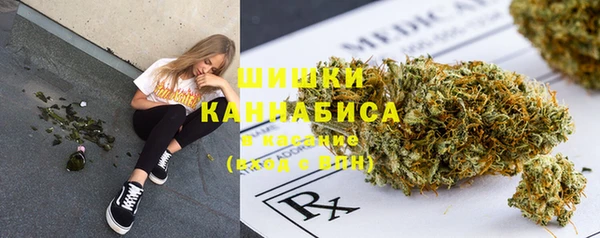 прущая мука Новодвинск