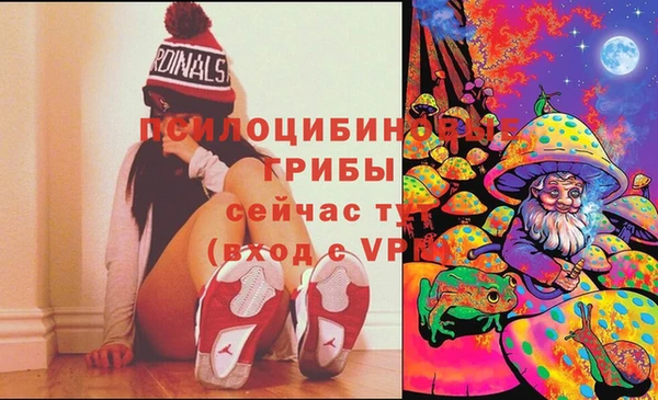 прущая мука Новодвинск