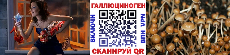 Галлюциногенные грибы прущие грибы  Томари 